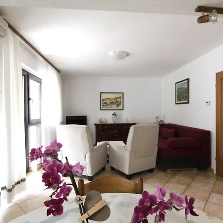 Noel Apartment Zambratija (Istria)